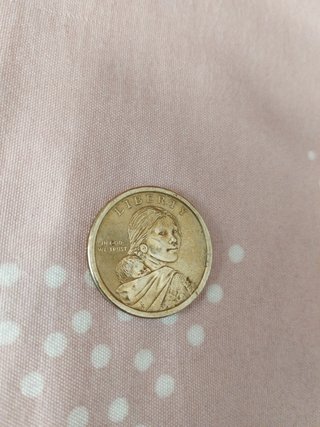 Moneda 1 dólar Nativa Americana