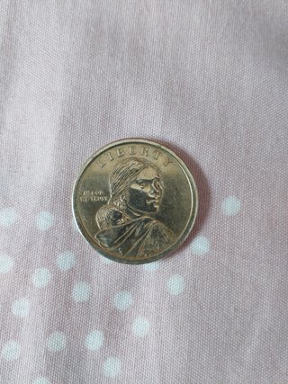 Moneda 1 dólar Nativa Americana