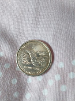 Moneda 1 dólar Nativa Americana