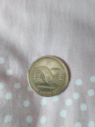 Moneda 1 dólar Nativa Americana
