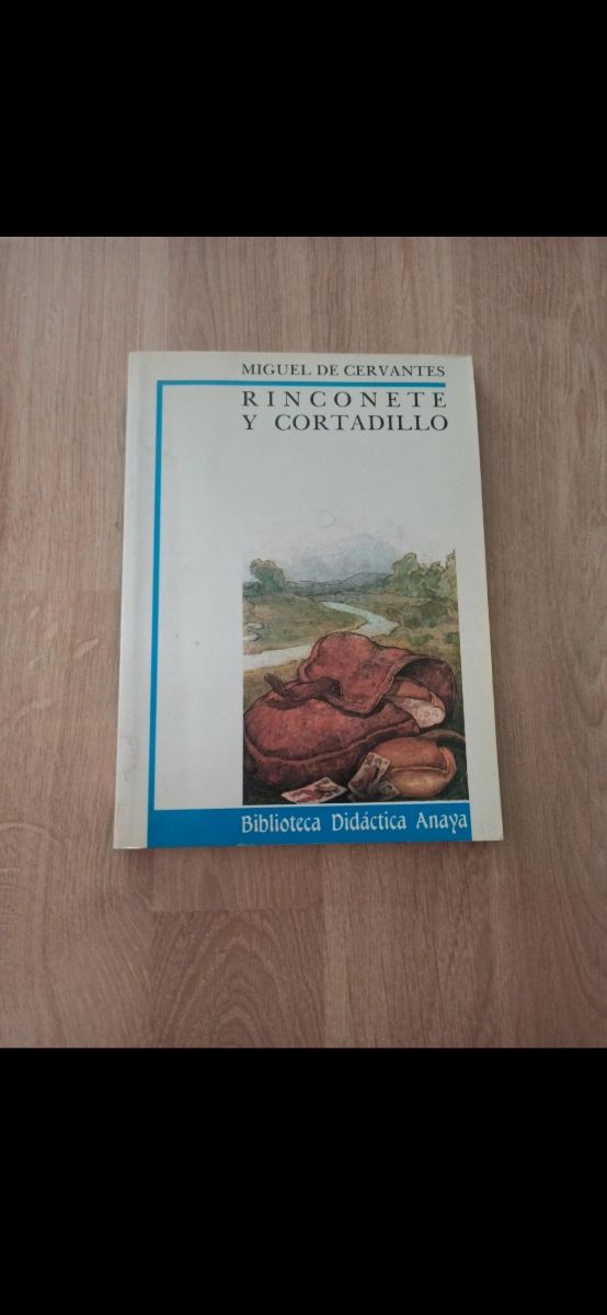 Libro Rinconete y Cortadillo