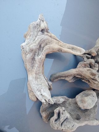 Raíces para terrario o acuario 