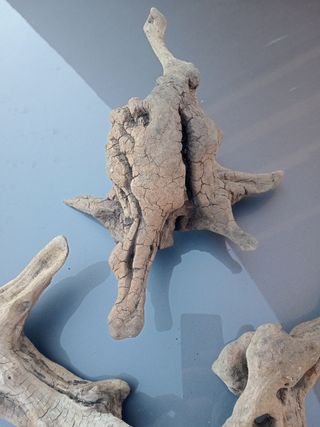 Raíces para terrario o acuario 