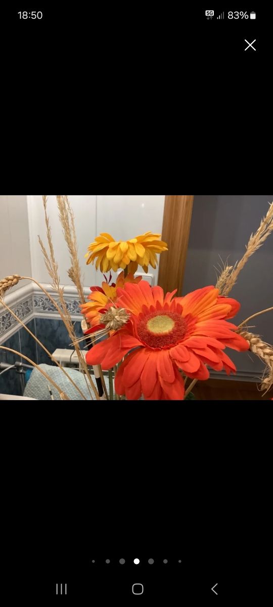 Flores--Margaritas y adornos florales