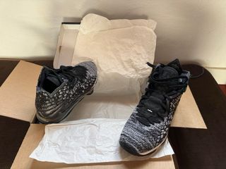 Lebron 17 