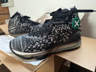 Lebron 17 
