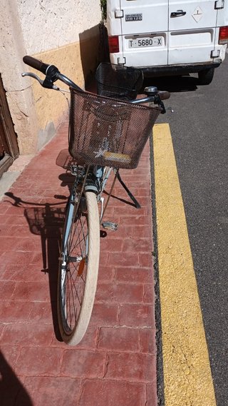 Bicicleta holandesa paseo