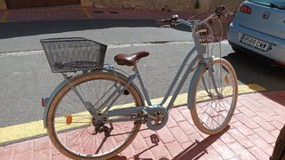 Bicicleta holandesa paseo