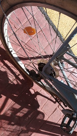 Bicicleta holandesa paseo