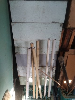 Apicultura