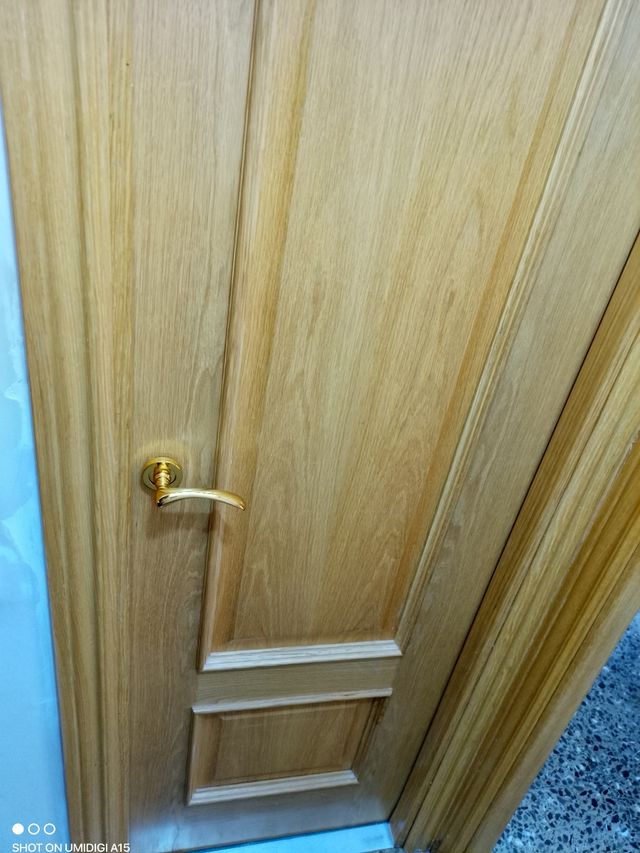 Puerta maciza de interior