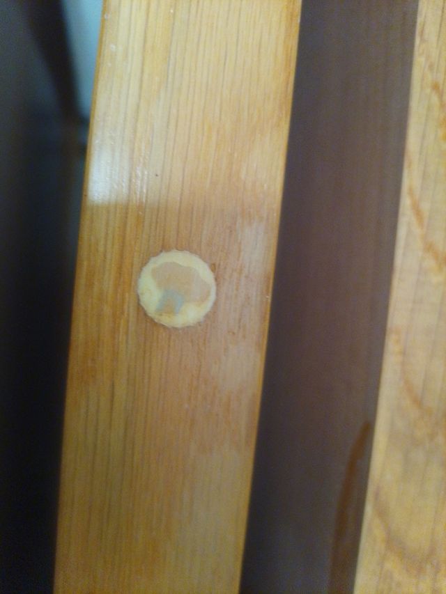 Puerta maciza de interior