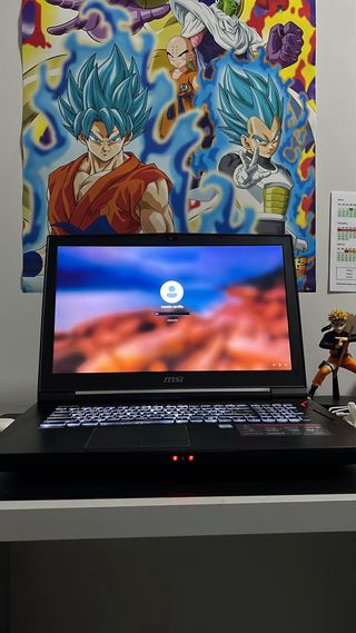 Ordenador Portatil MSI