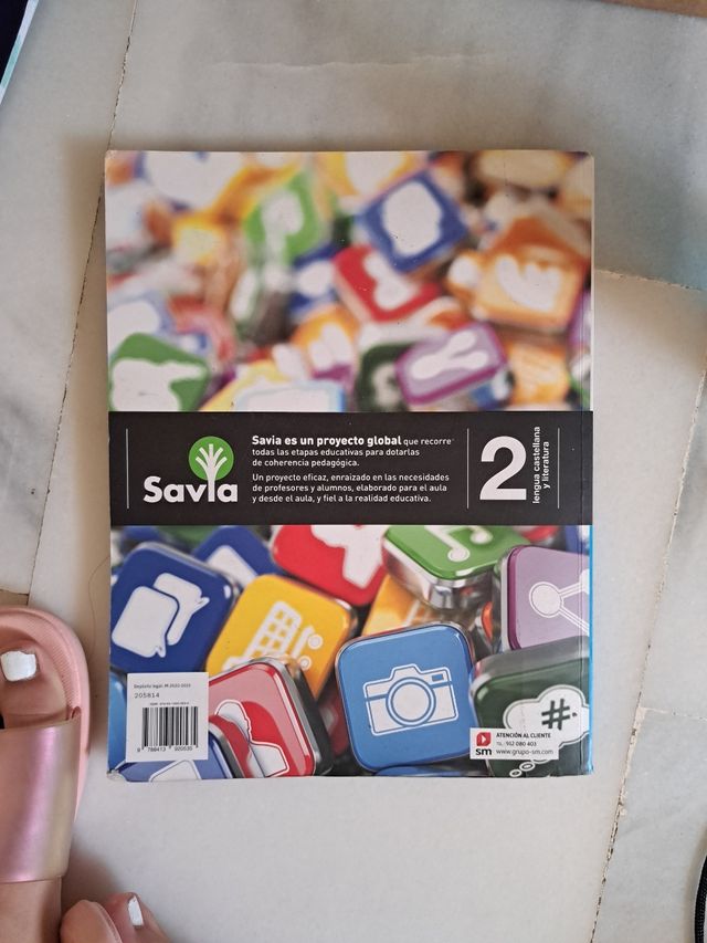 Lengua castellana y literatura 2 ESO SM