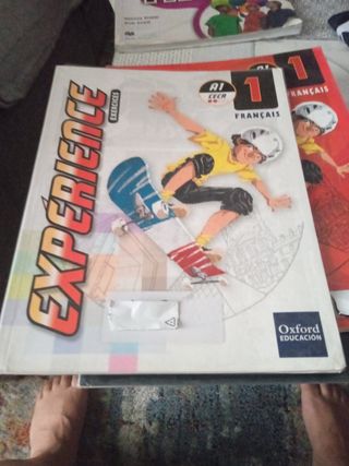 Libro y cuadernillo de francés