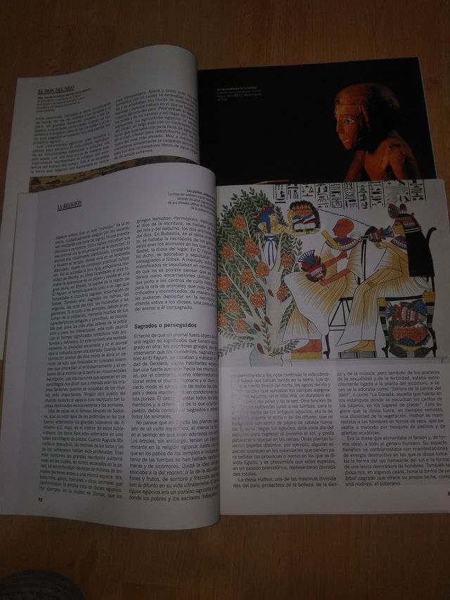 Grandes civilizaciones/Historia de la democracia