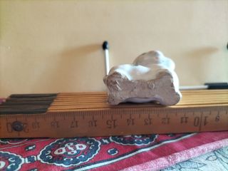 Maialino da collezione