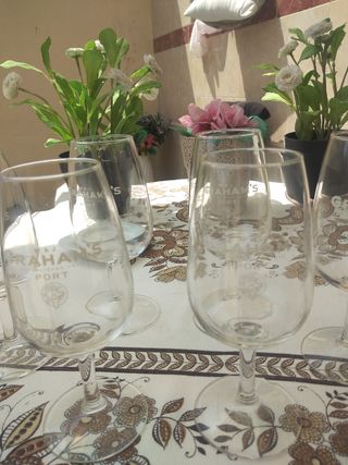 6 copos específicos vinho Porto 6 18