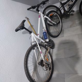 Bicicleta de montaña 