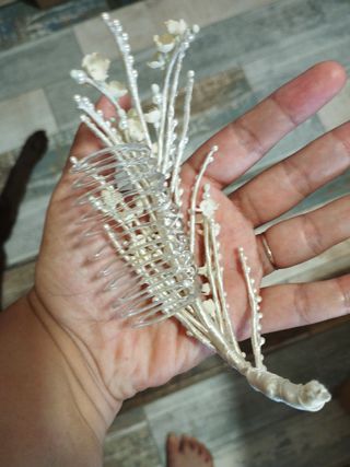 Pettine per Acconciatura Sposa