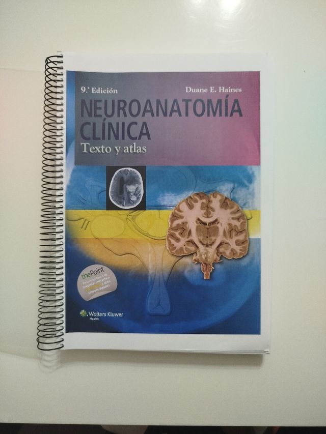 Libro neuroanatomía clínica 