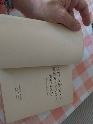 Antología de las mejores novelas polocia