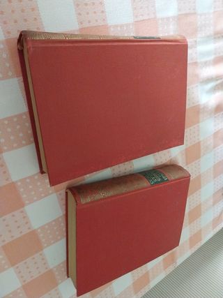 Antología de las mejores novelas polocia