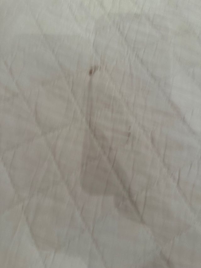 Colcha Cama grande reversibl 250x 245  2 cojines