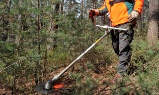 Desbroces forestales