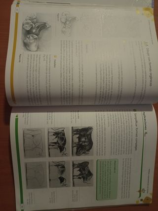 VENDO LIBRO TEXTO 3 ESO: EDUC PLÁSTICA 