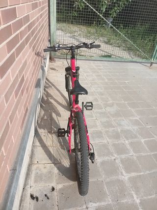 Bicicleta Trek de 24"