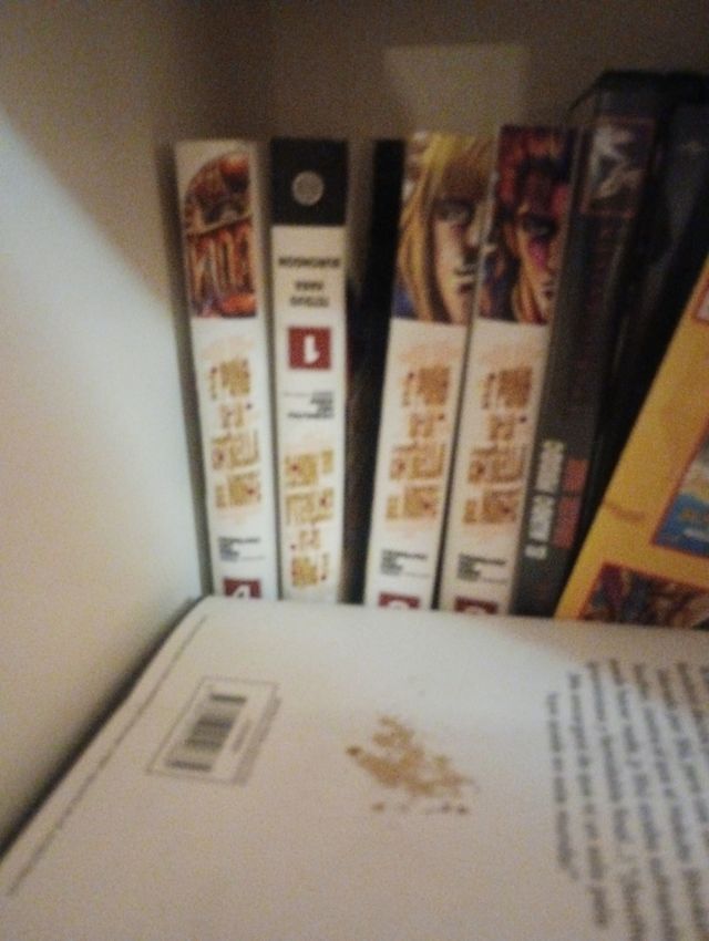 El puño de la estrella del norte 