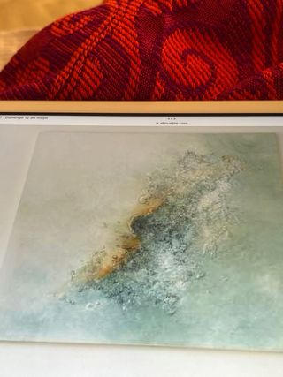 Organizadora de casa. Home Organizer