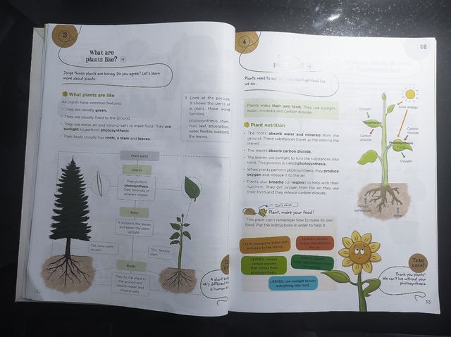 Libro de texto Natural Science 3° EP