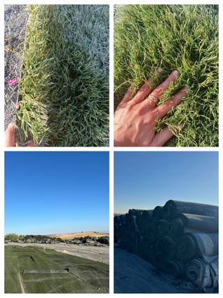 Césped artificial reciclado 🌿