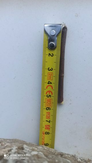 Llantas originales Audi 17" y neumáticos Michelin