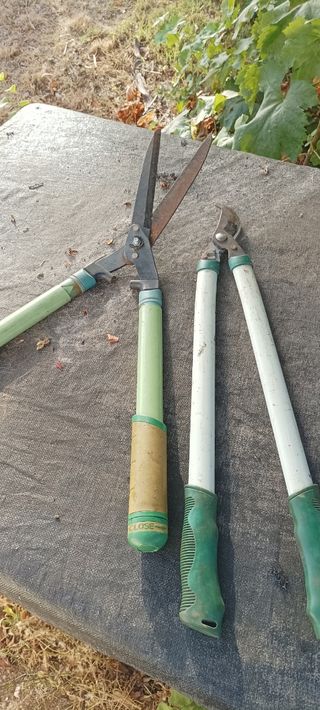 Dos tijeras para podar las dos 20€