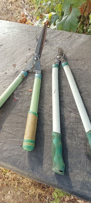 Dos tijeras para podar las dos 20€