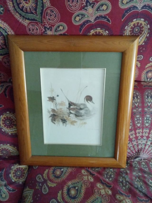 Precioso cuadro de pato