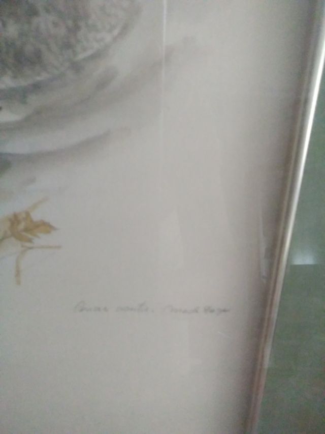 Precioso cuadro de pato