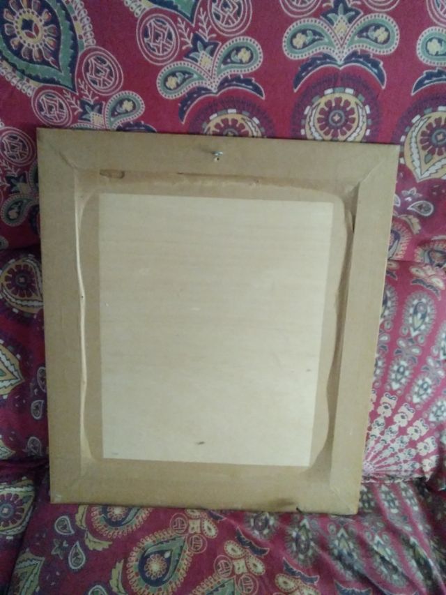 Precioso cuadro de pato