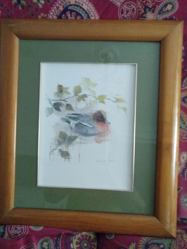 Precioso cuadro pato