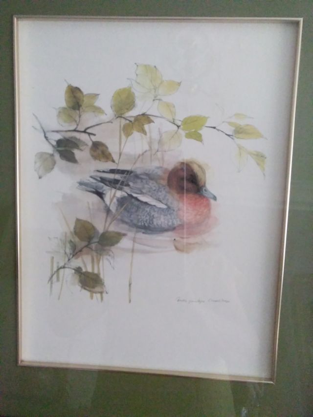 Precioso cuadro pato