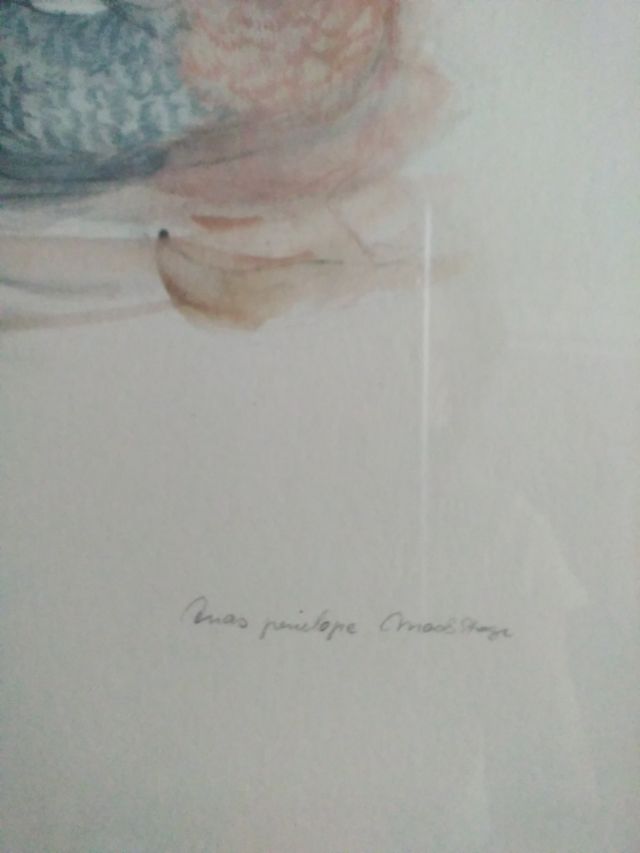 Precioso cuadro pato