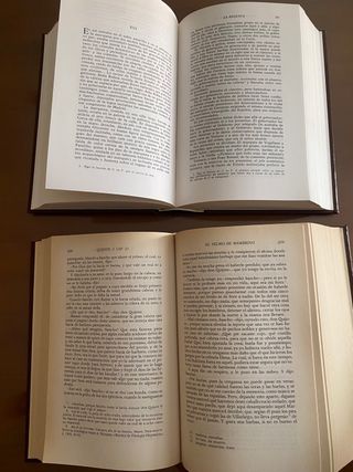 Don Quijote de la Mancha y la Regenta