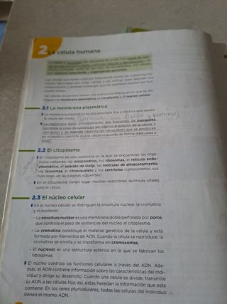 Biología y Geología 3 ESO 