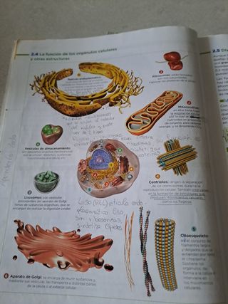 Biología y Geología 3 ESO 