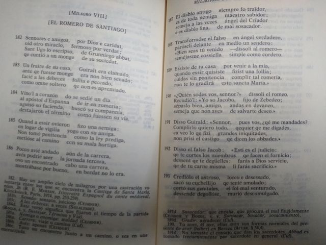 Milagros de Nuestra Señora