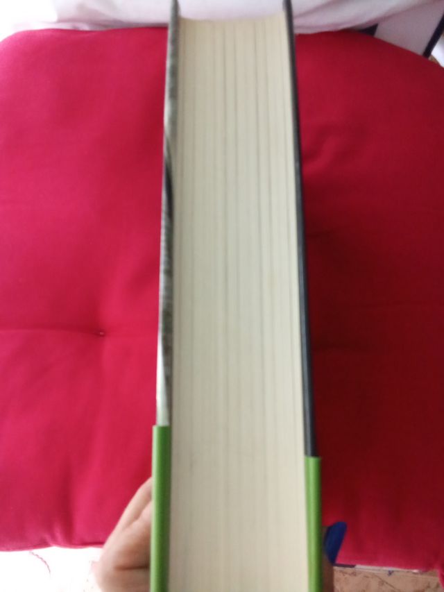 LA CATEDRAL DEL MAR,SIN ESTRENAR