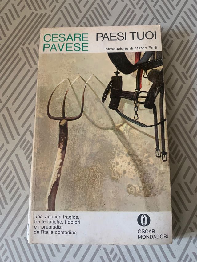 libro Paesi tuoi di cesare pavese